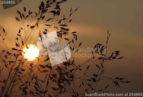 Image of Norwegian sunset