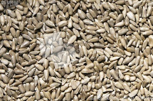 Image of Sunflower seeds