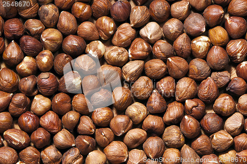 Image of Hazelnuts