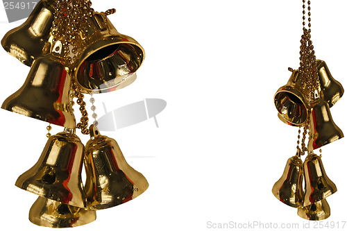 Image of clusters of golden bells