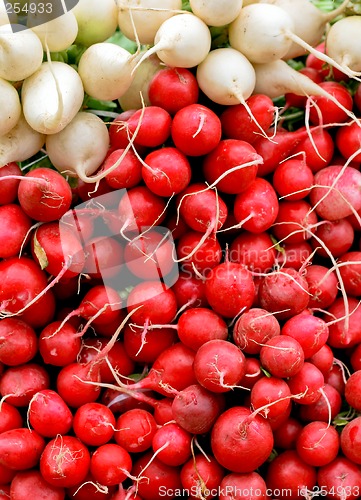 Image of Radish