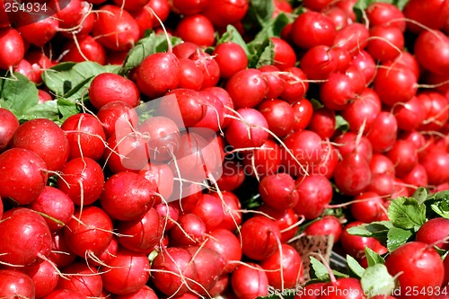 Image of Red radish