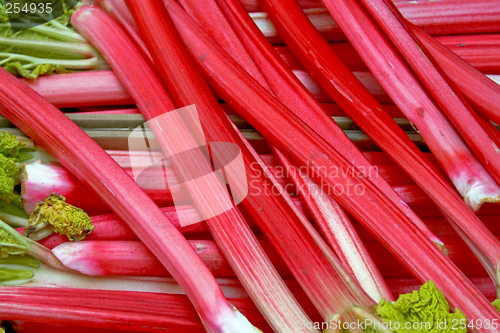 Image of Rhubarb