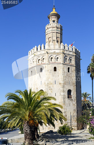 Image of Magnificent Tower of gold in Seville