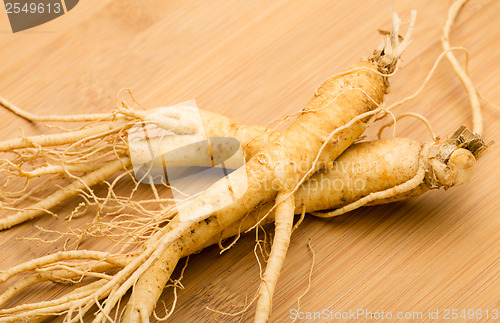 Image of Ginseng