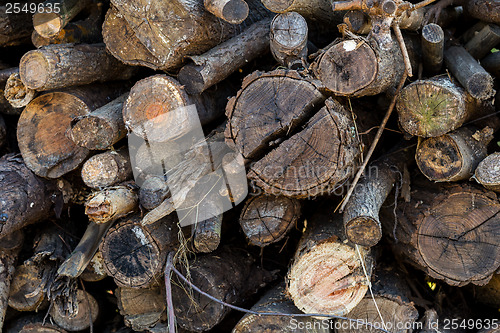 Image of Abandoned old wood