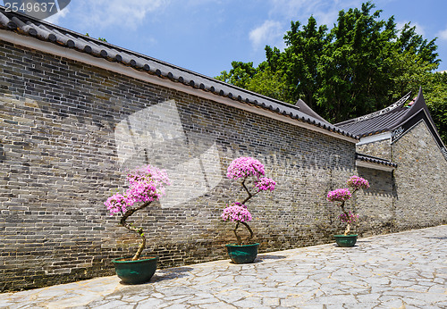 Image of Traditional chinese garden