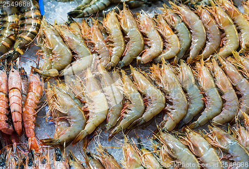 Image of Fresh prawn