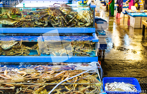 Image of Seafood market fish tank