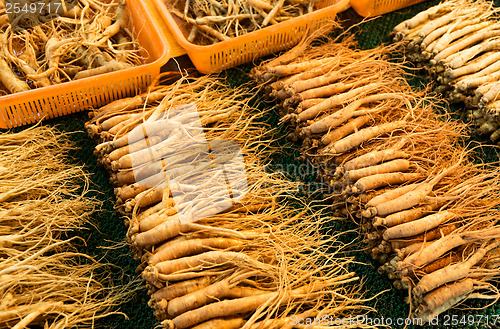 Image of Ginseng sell in Korean market