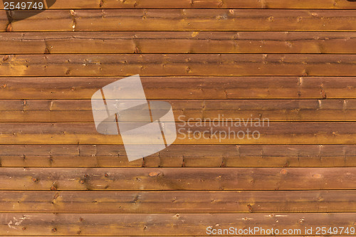Image of Bamboo texture 