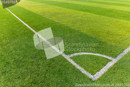 Image of Soccer field grass