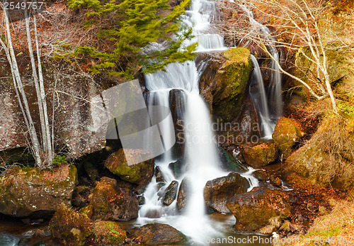 Image of Waterfall in forest 