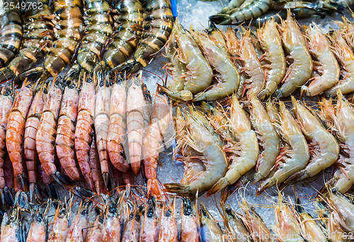 Image of Fresh assorted prawn 