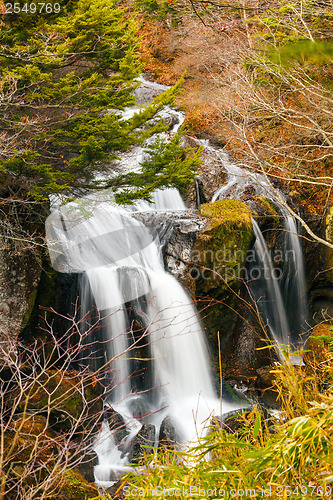 Image of Waterfall in forest 