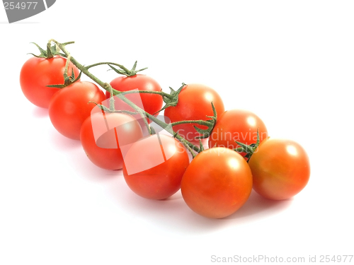 Image of tomatoes