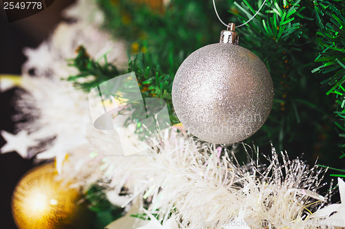 Image of Christmas tree