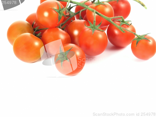Image of tomatoes