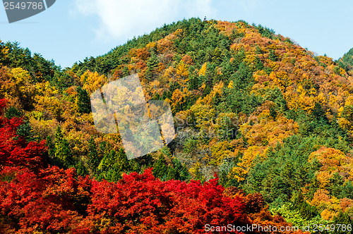 Image of Autumn mountain