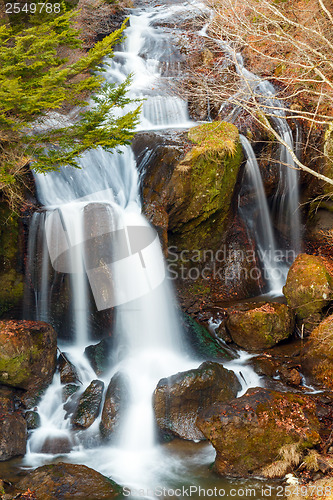 Image of Waterfall in forest