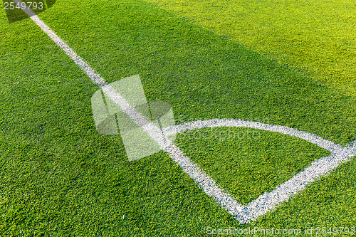 Image of Football court grass
