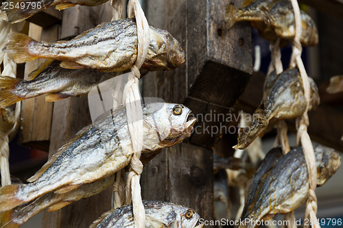 Image of Salty fish