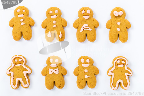 Image of Homemade Gingerbread cookies