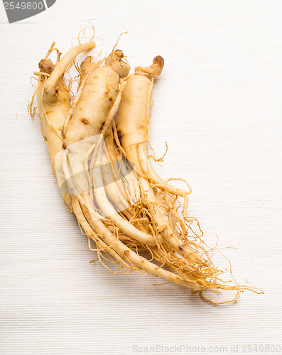 Image of Fresh Ginseng