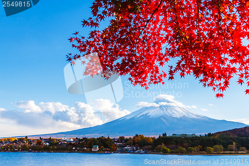 Image of Mt. Fuji in autumn 