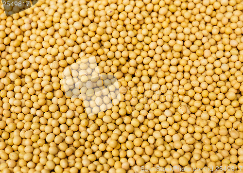 Image of Yellow mustard Seed