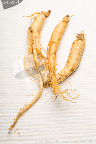 Image of Fresh ginseng