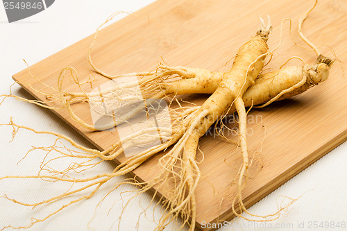 Image of Ginseng 