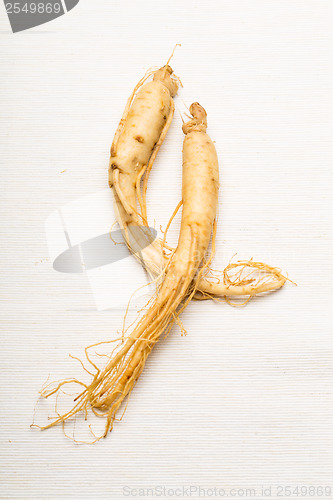 Image of Fresh ginseng 