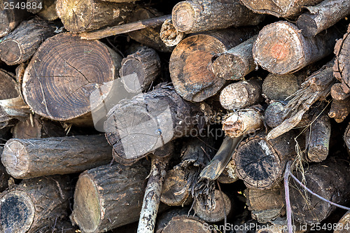 Image of Abandoned old wood