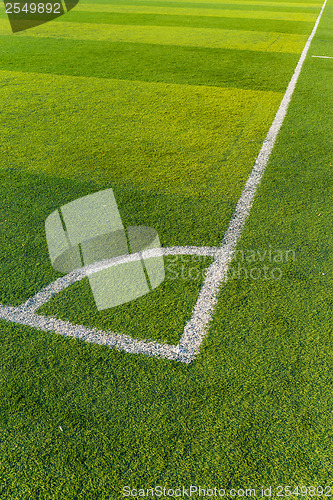 Image of Football court grass