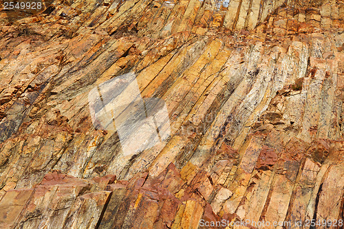 Image of Hong Kong geopark