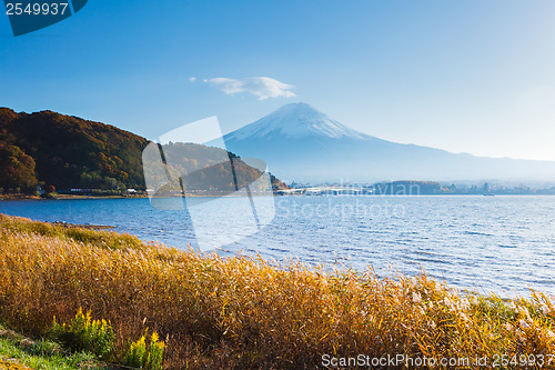 Image of Mountain Fuji in autumn