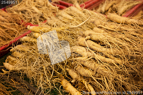 Image of Ginseng for sell in food market