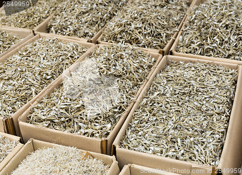 Image of Small silver dried fish 