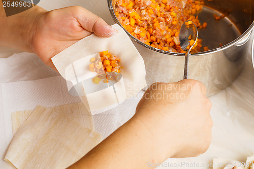 Image of Handmade Chinese dumplings