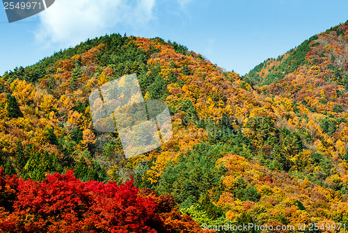 Image of Autumn mountain