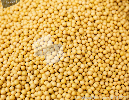 Image of Yellow Mustard Seed 