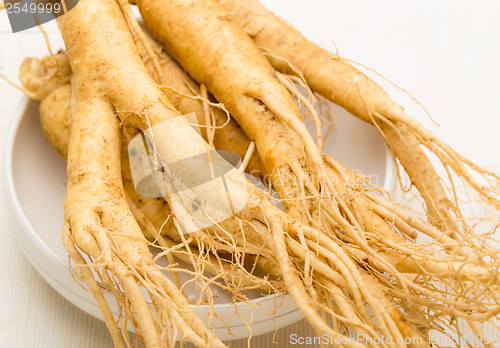 Image of Fresh ginseng root texture