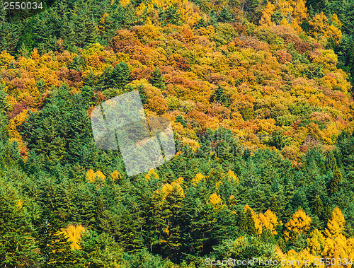 Image of Mountain in Autumn