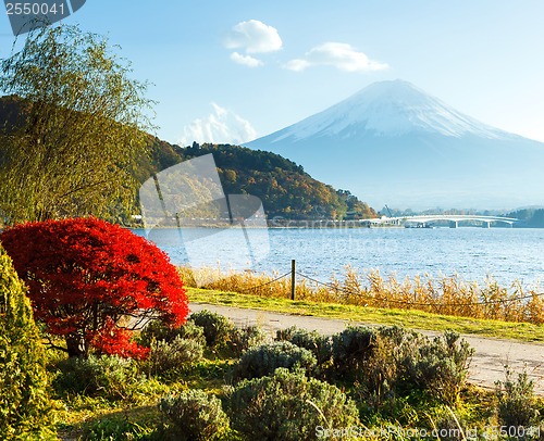 Image of Mountain Fuji in autumn