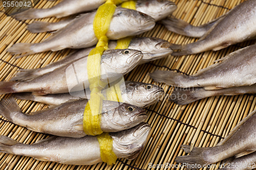 Image of Dry salty fish 