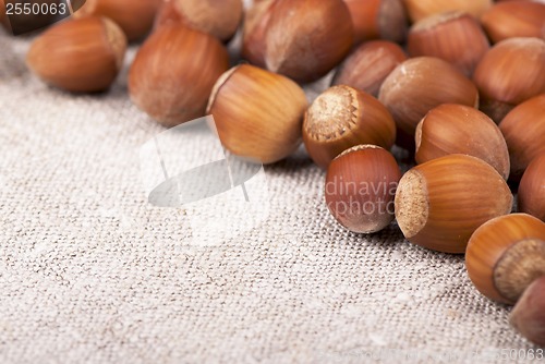 Image of Nuts filberts isolated on white background