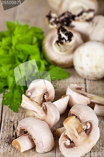 Image of  fresh champignons and parsley