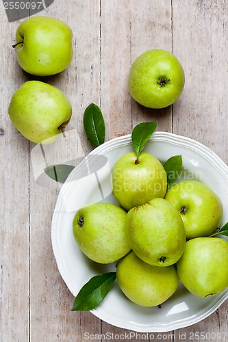 Image of fresh green apples in plate 