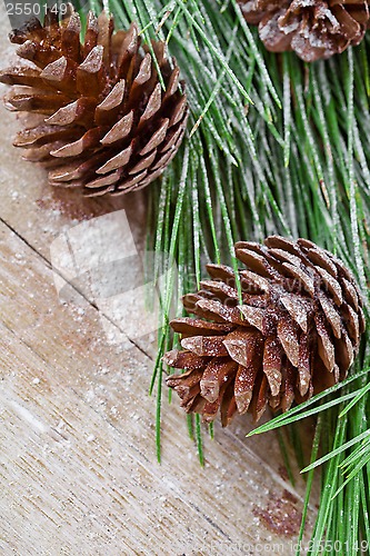 Image of christmas fir tree with pinecones